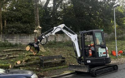 Tree Removal Rossendale