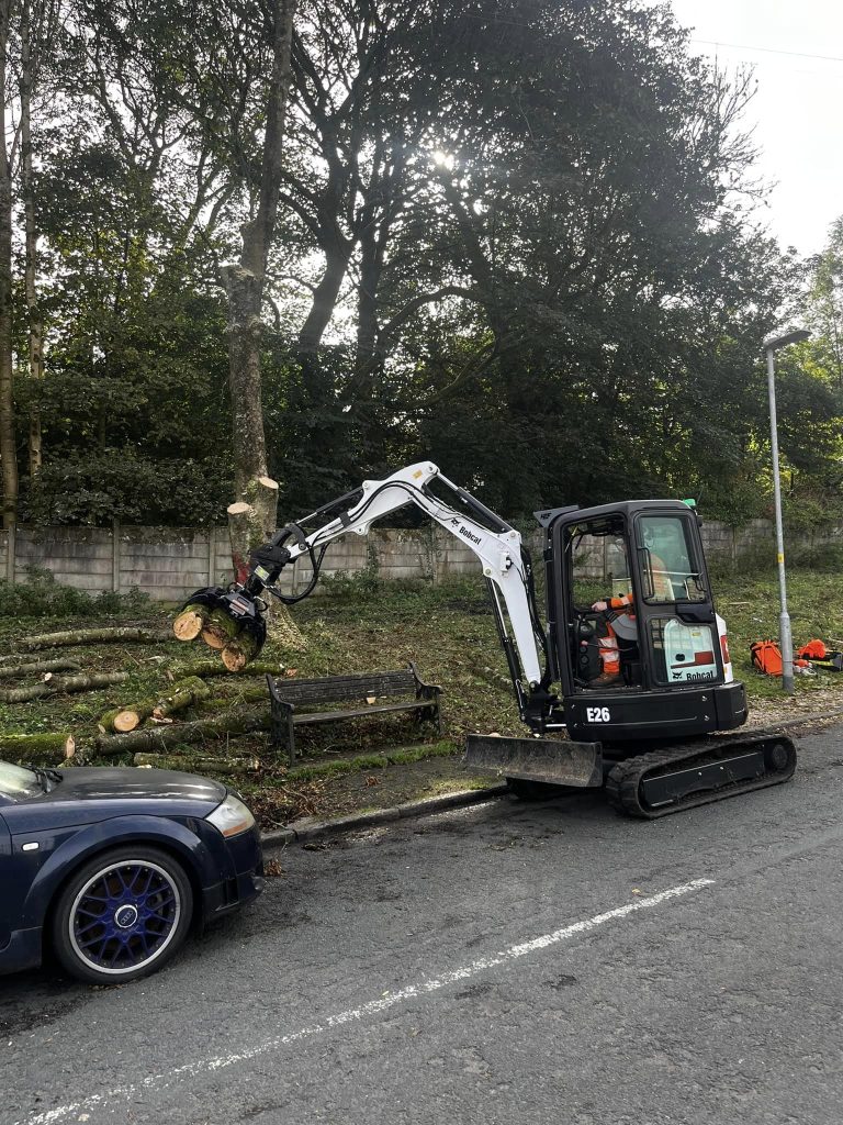 Tree Removal Rossendale