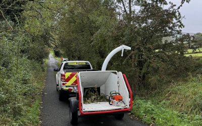 Emergency Tree Service Blackburn