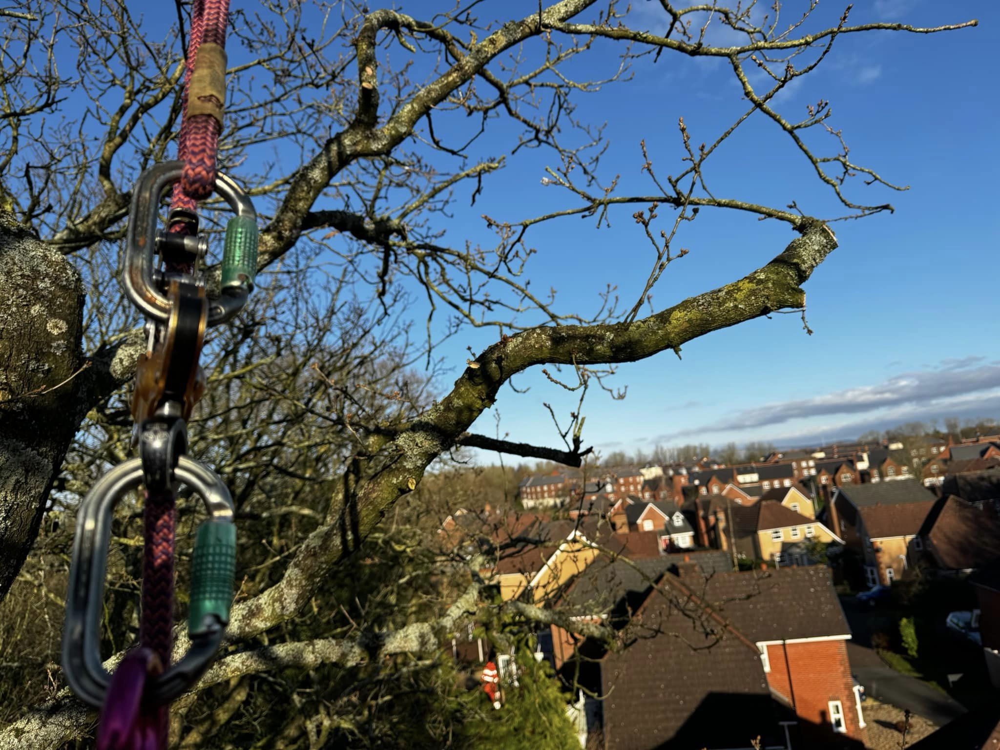 417782287_741638084682253_6508955534466877602_n Tree Surgeons Blackburn