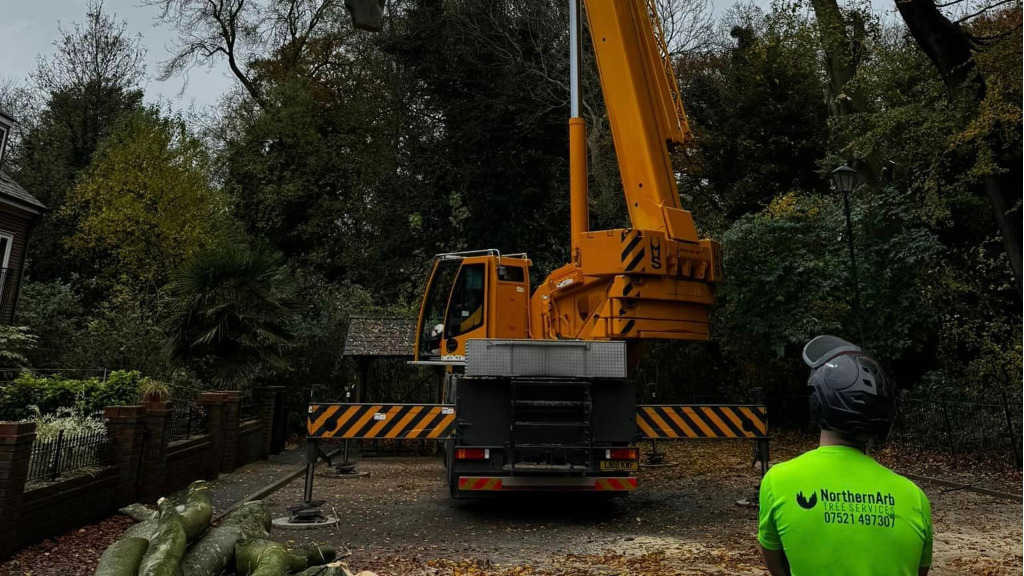 Crane-Assisted Tree Work Blackburn