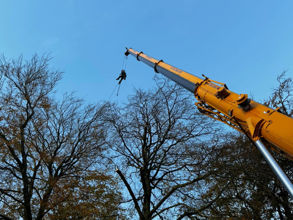 Crane-Assisted Tree Work North West