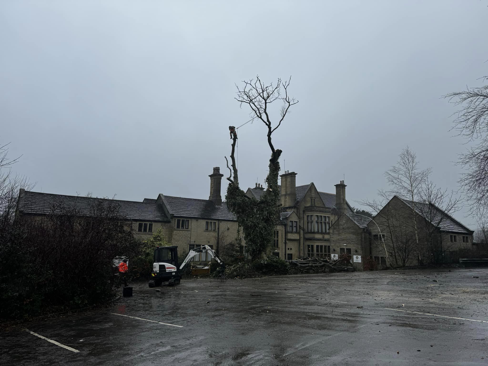 427786602_760726116106783_7966929644268240418_n Tree Surgeons Huddersfield