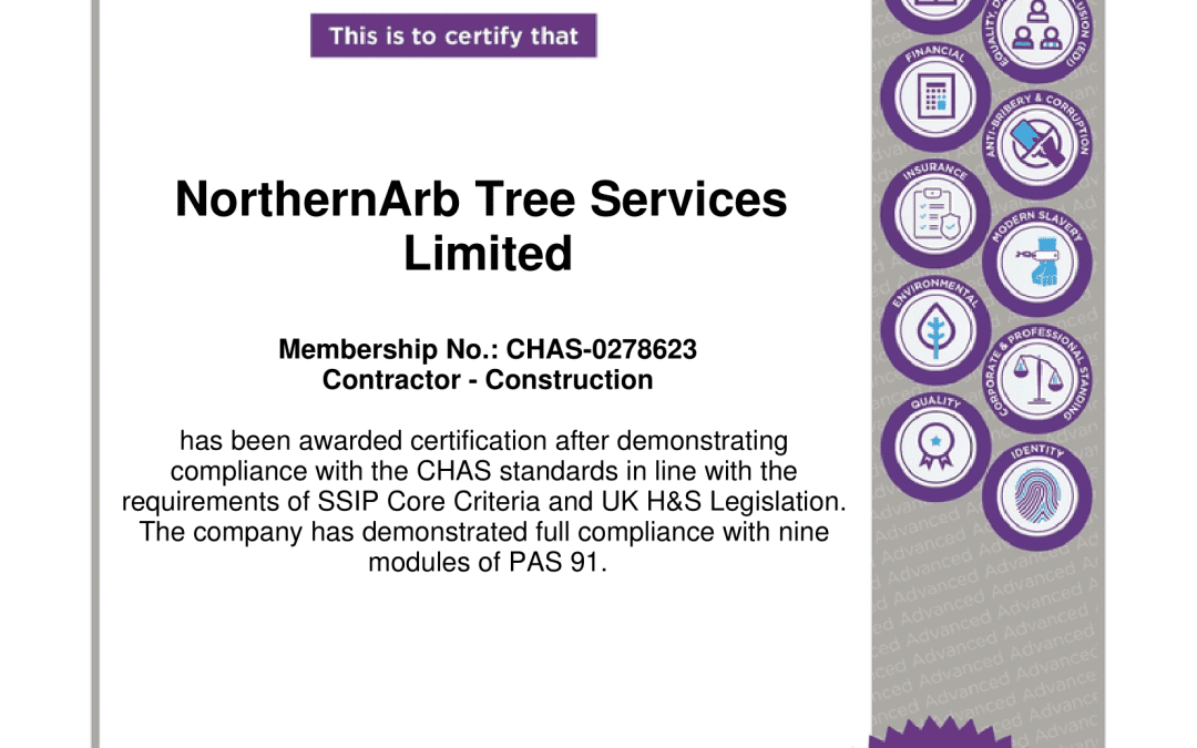 Why Choose a CHAS-Accredited Tree Surgeon?