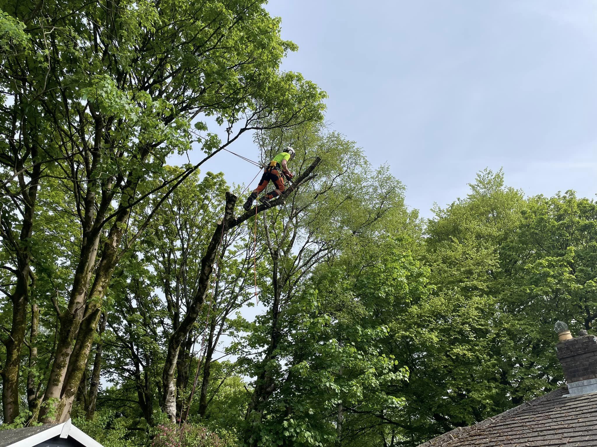 438197983_813702934142434_7901428729836075808_n (1) Tree Surgeon St Helens