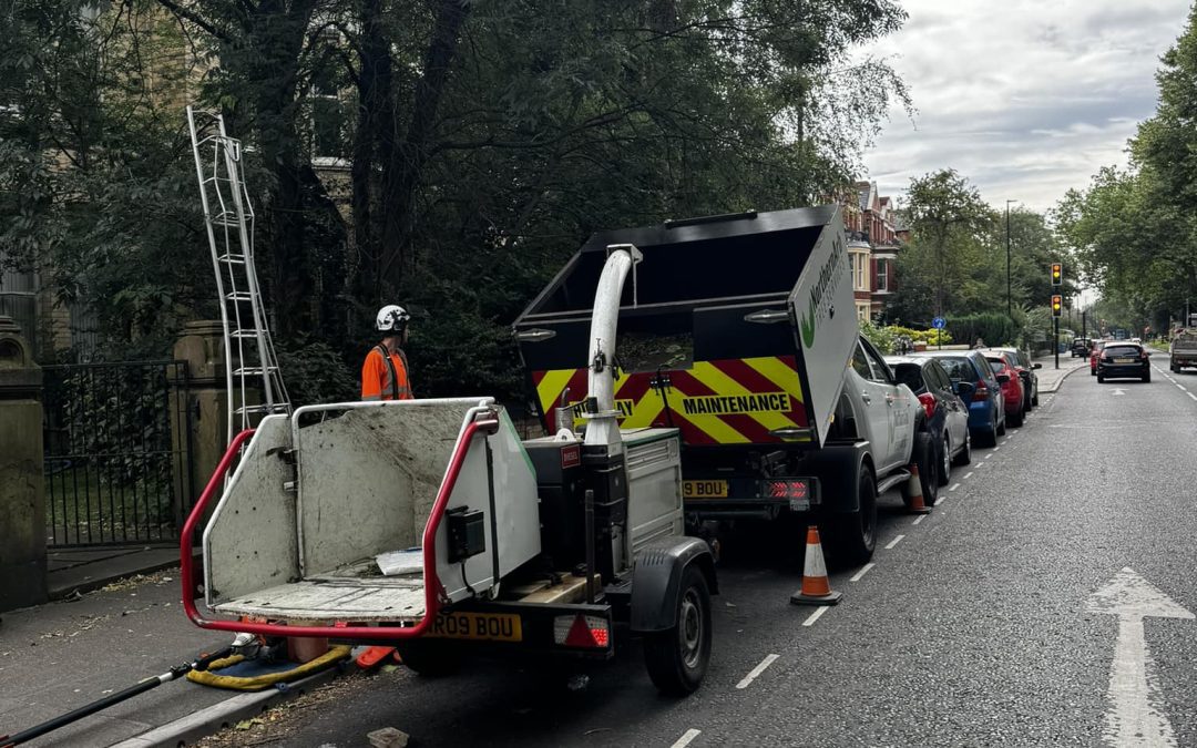 Tree Services Preston