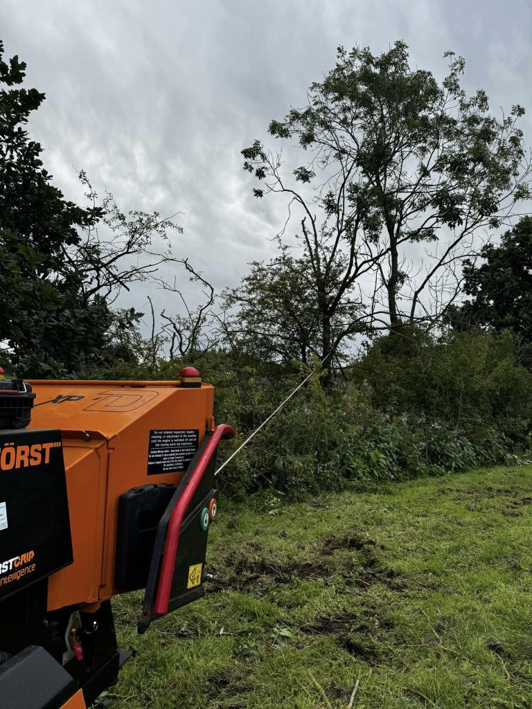 Site Clearance Cheshire