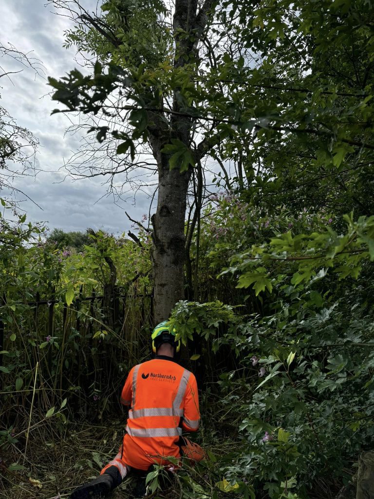 Site Clearance Lancashire