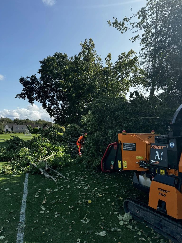 Blackpool Tree Surgeons