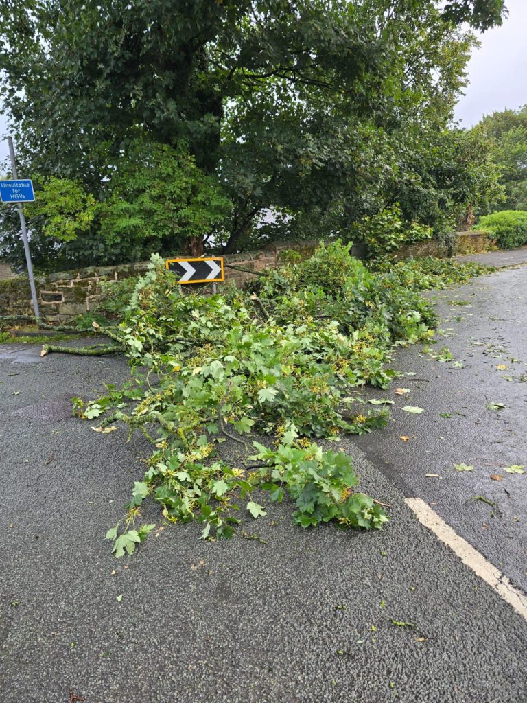 Tree Surgeon Blackpool