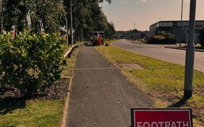 Tree Services Darwen