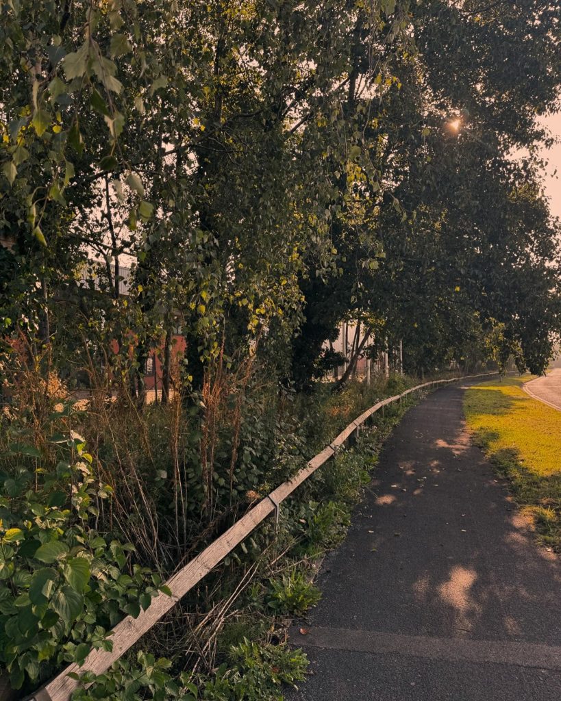 Tree Surgeon Darwen