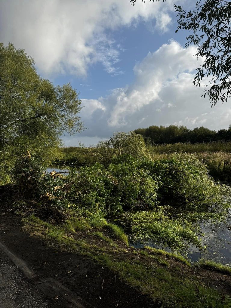 Darwen Tree Surgeon