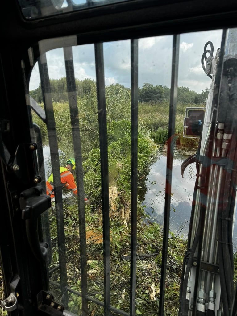 Tree Surgeon Darwen 