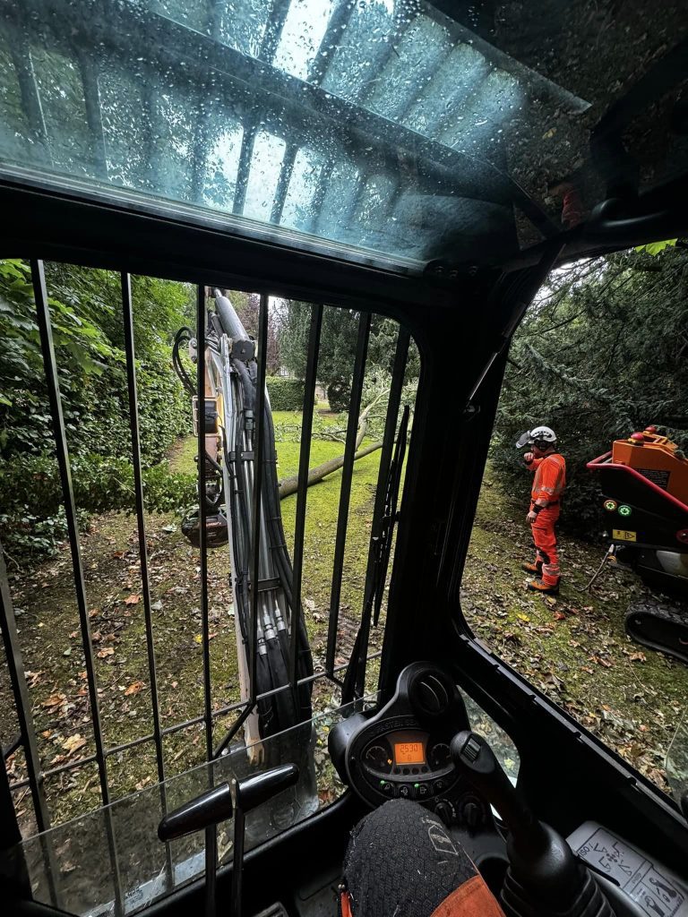 Harrogate Tree Surgeons