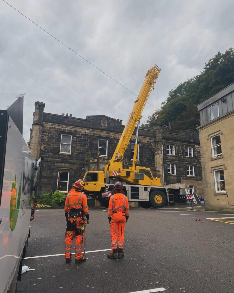 Darwen Tree Surgeon