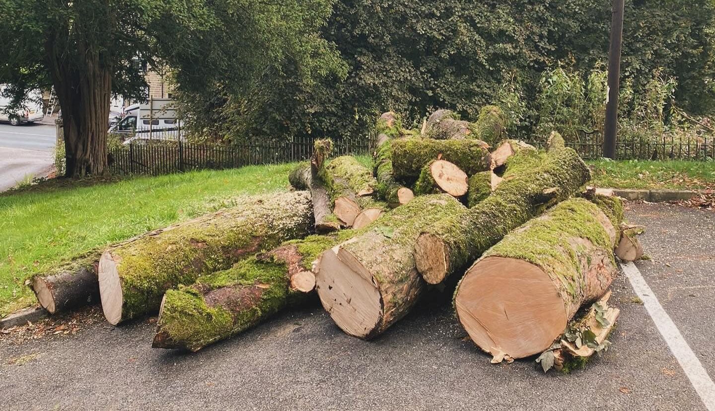 Tree Stump Removal Blackburn