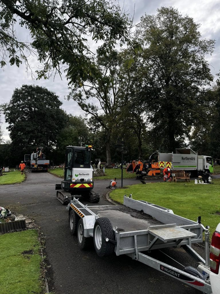 Tree Surgeon Manchester