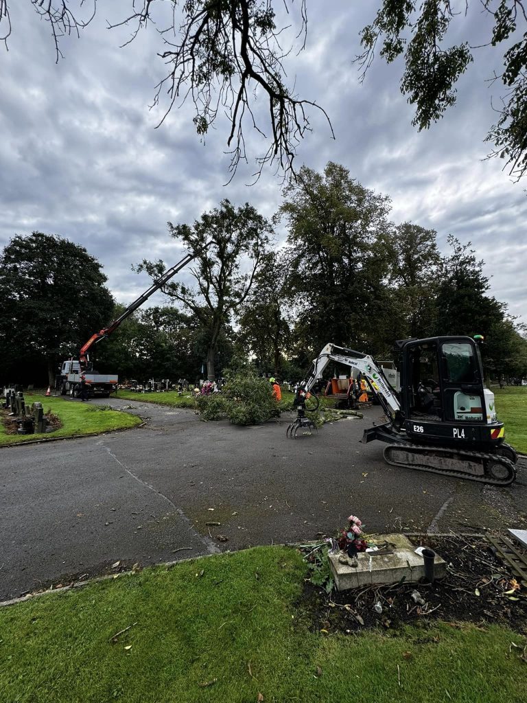 Tree Surgeons Manchester