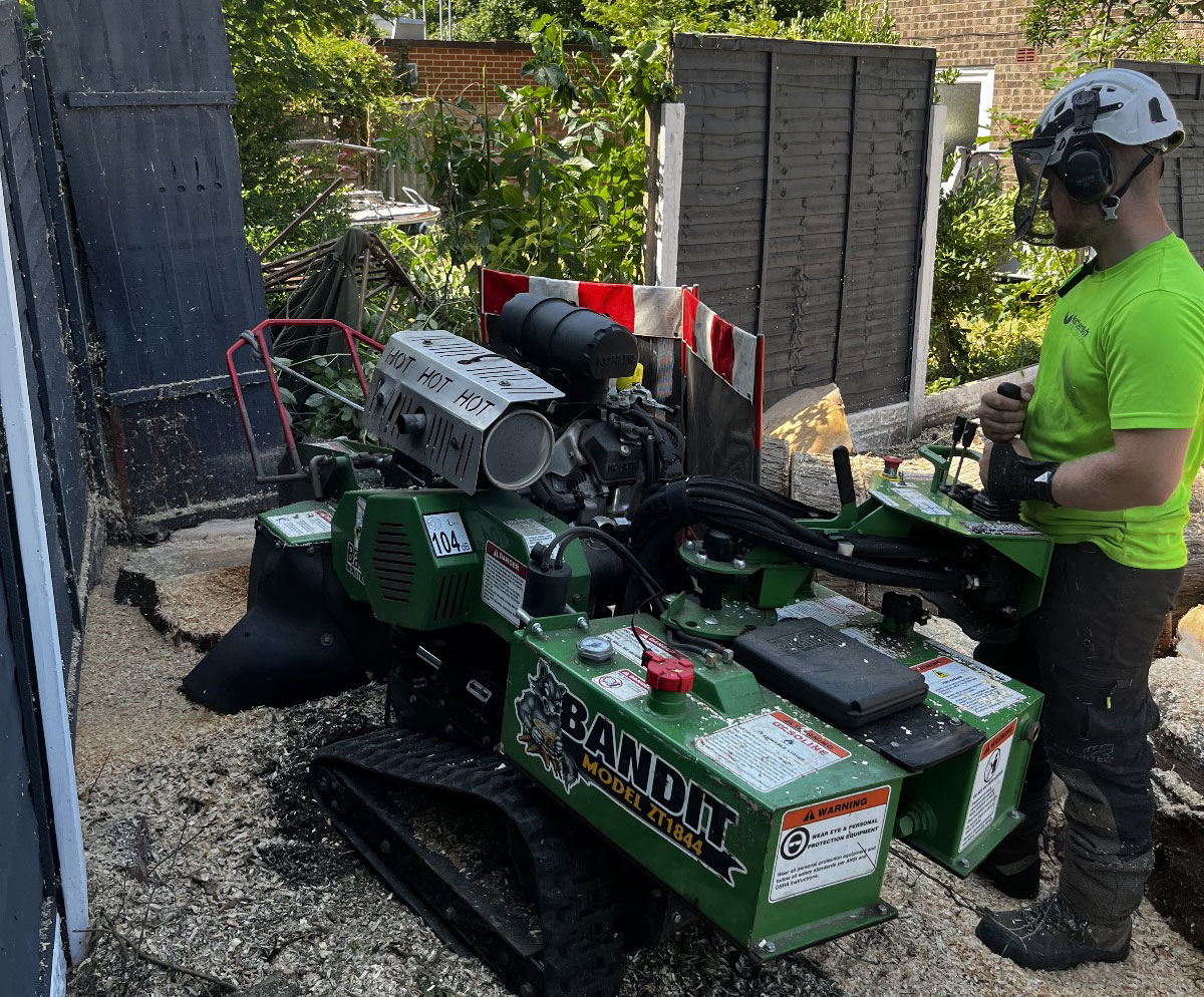 Tree Stump Removal Blackburn