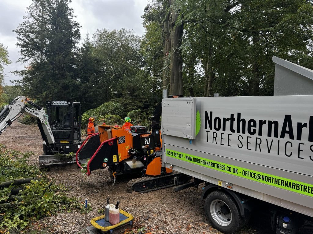 Tree Surgeon Great Harwood