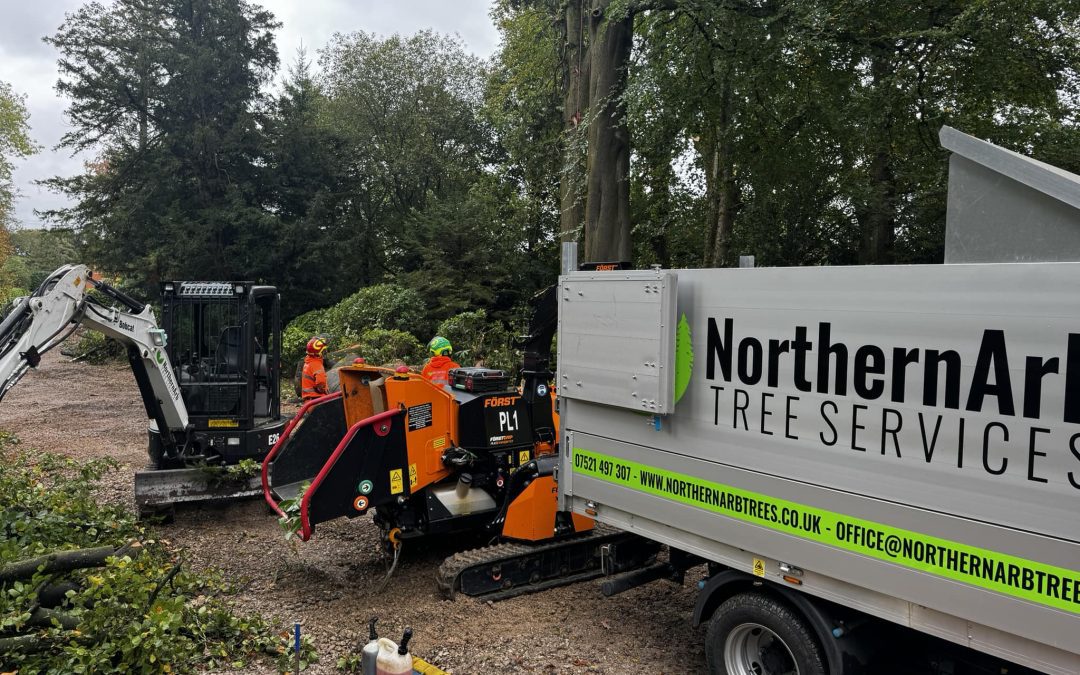 Tree Surgeon Great Harwood