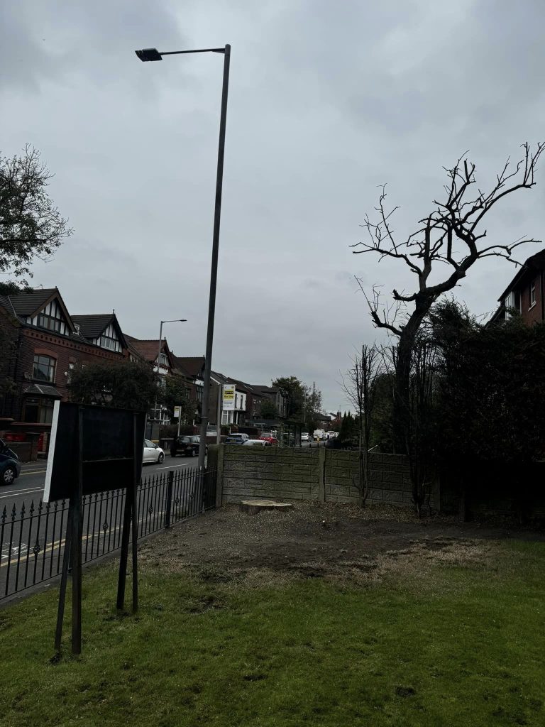 Tree Surgeon Bolton