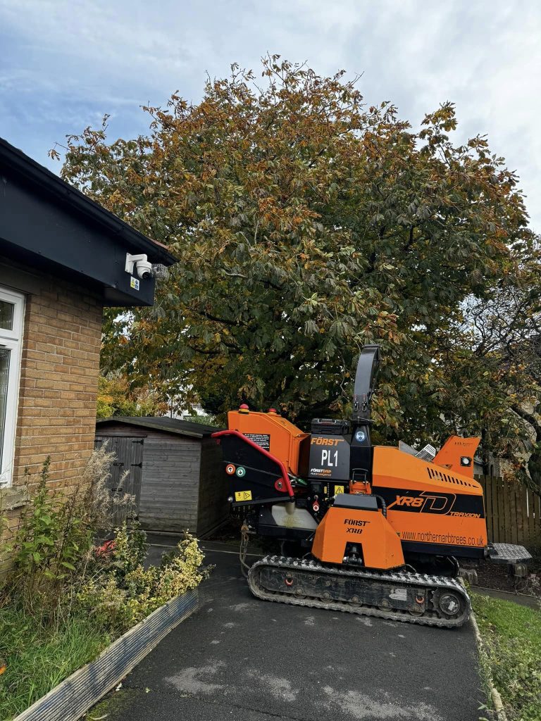 Tree Removal Darwen