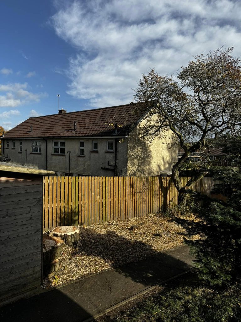 Tree Surgeon Darwen