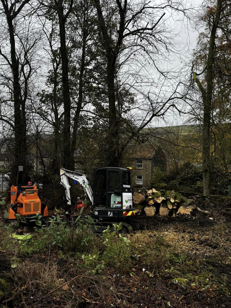 Tree Surgeon Accrington