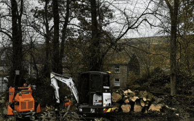 Tree Surgeon Haslingden