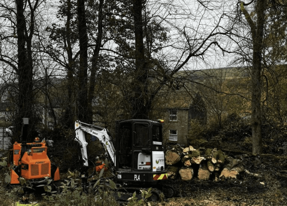 Tree Surgeon Haslingden