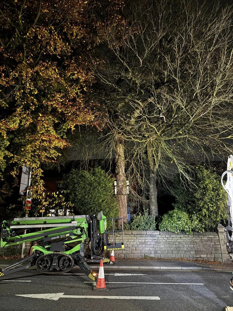 Tree Surgeon Blackburn 