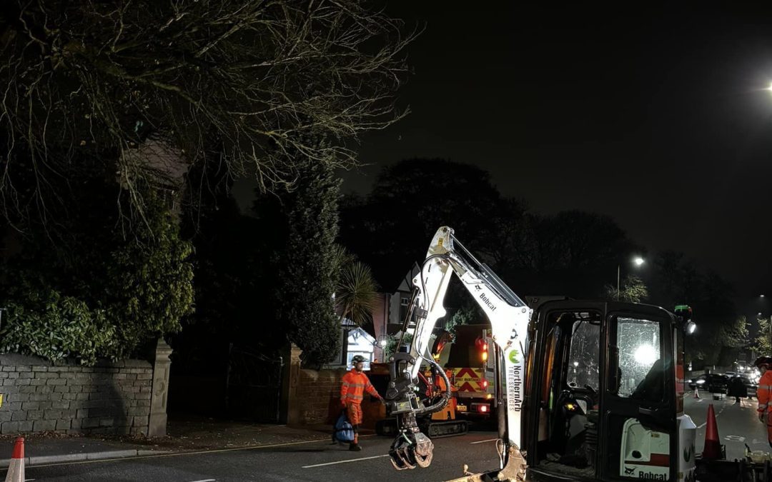 Blackburn Tree Surgeon