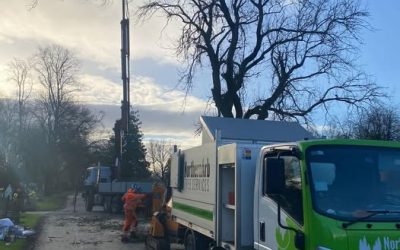 Blackburn Tree Removal