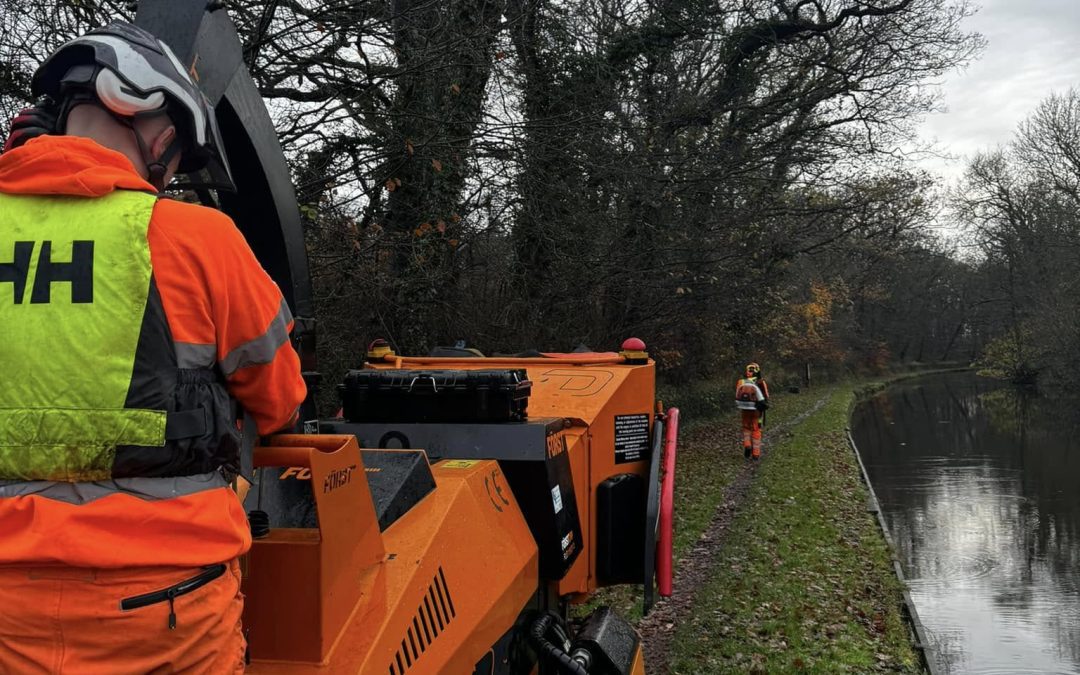 Darwen Tree Removal