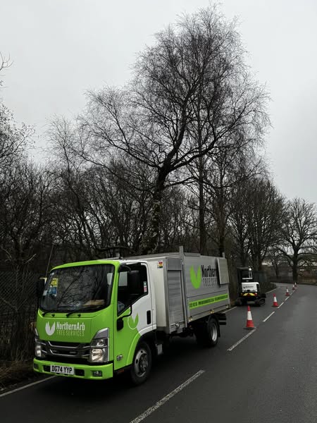 Tree Removal Lancashire