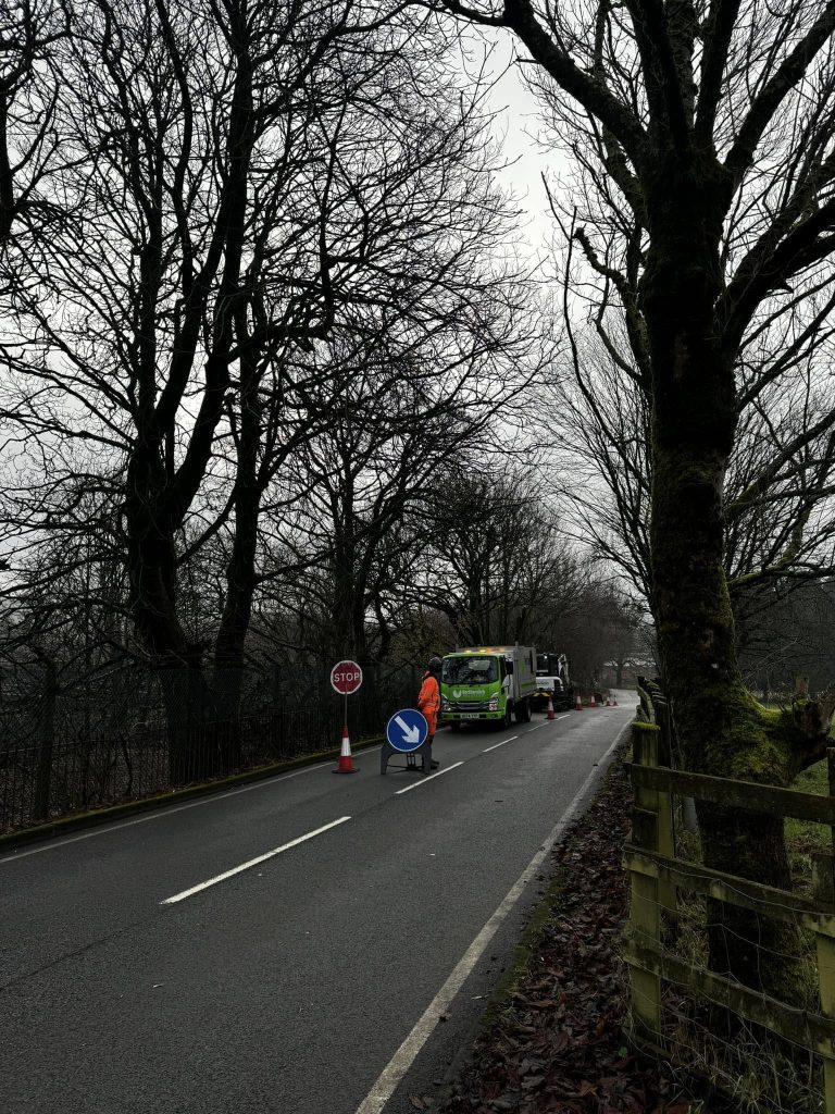 Tree Removal Blackburn