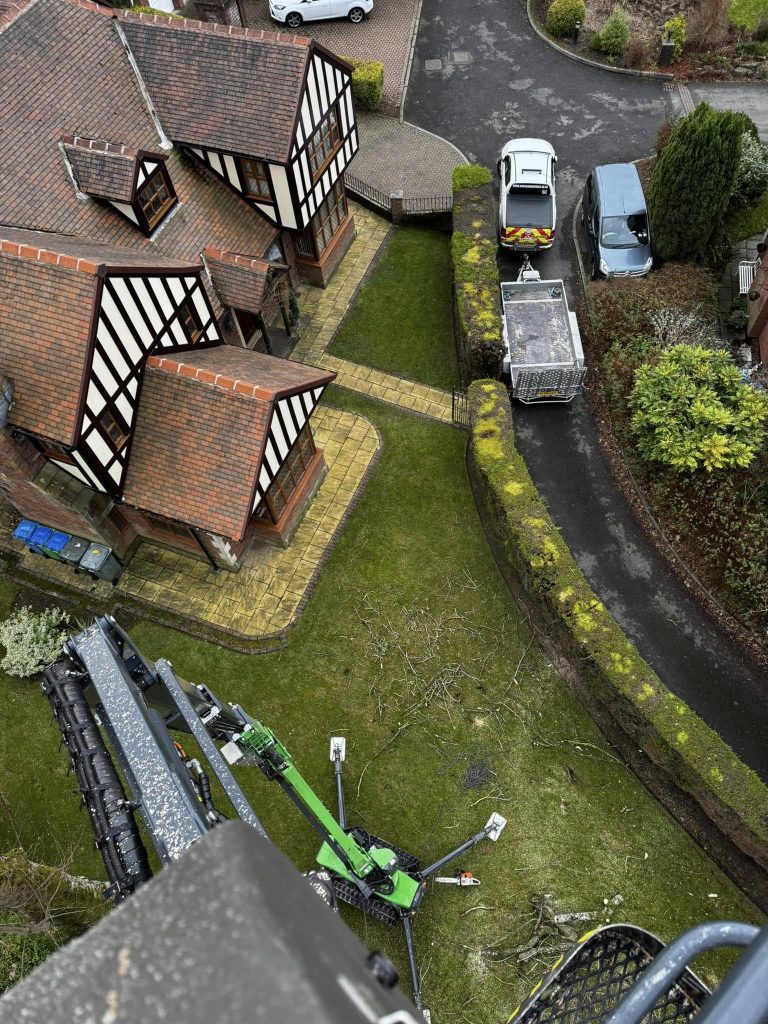 Cheshire Tree Surgeon