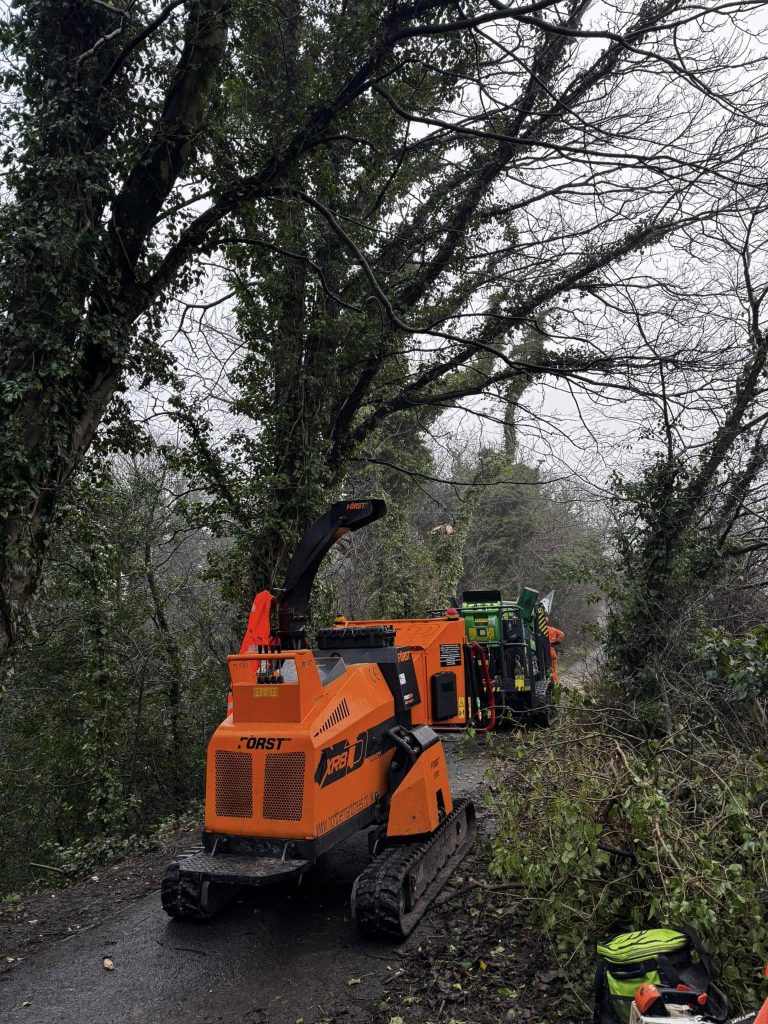 Lancaster Tree Surgeon