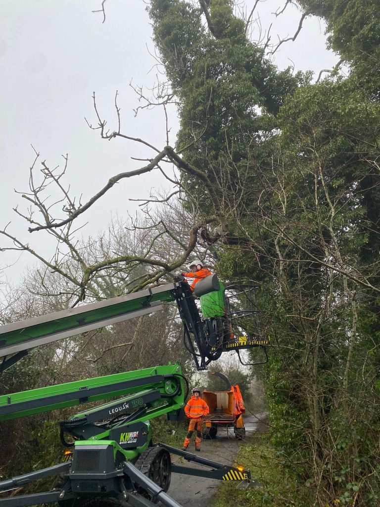 Tree Surgeons Lancaster