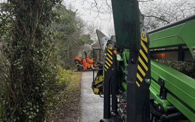 Lancaster Tree Surgeon