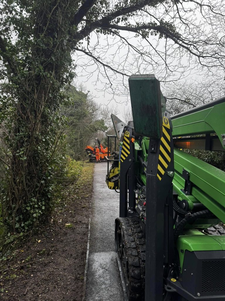 Tree Surgeon Lancaster 