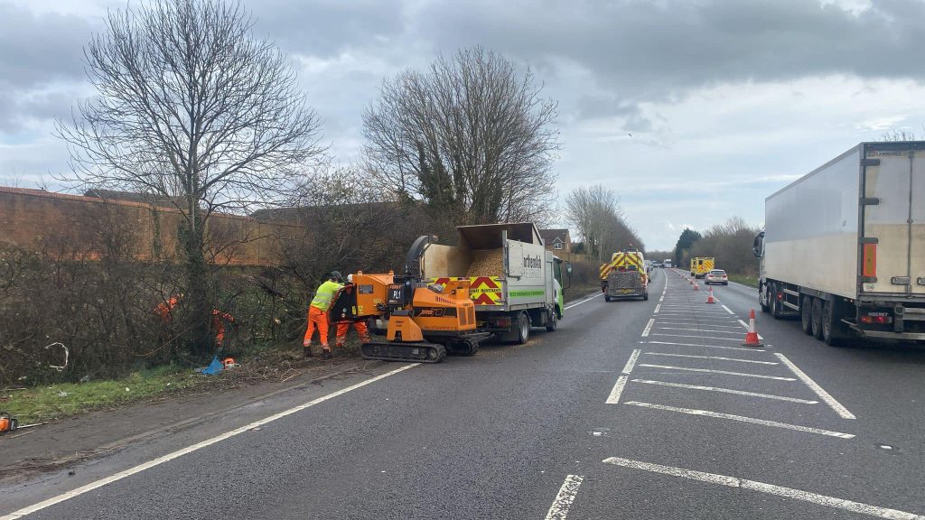 Lancashire Tree Surgeon