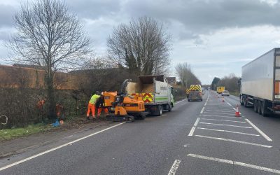 Lancashire Tree Surgeon