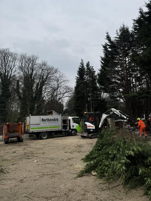 Accrington Tree Surgeon