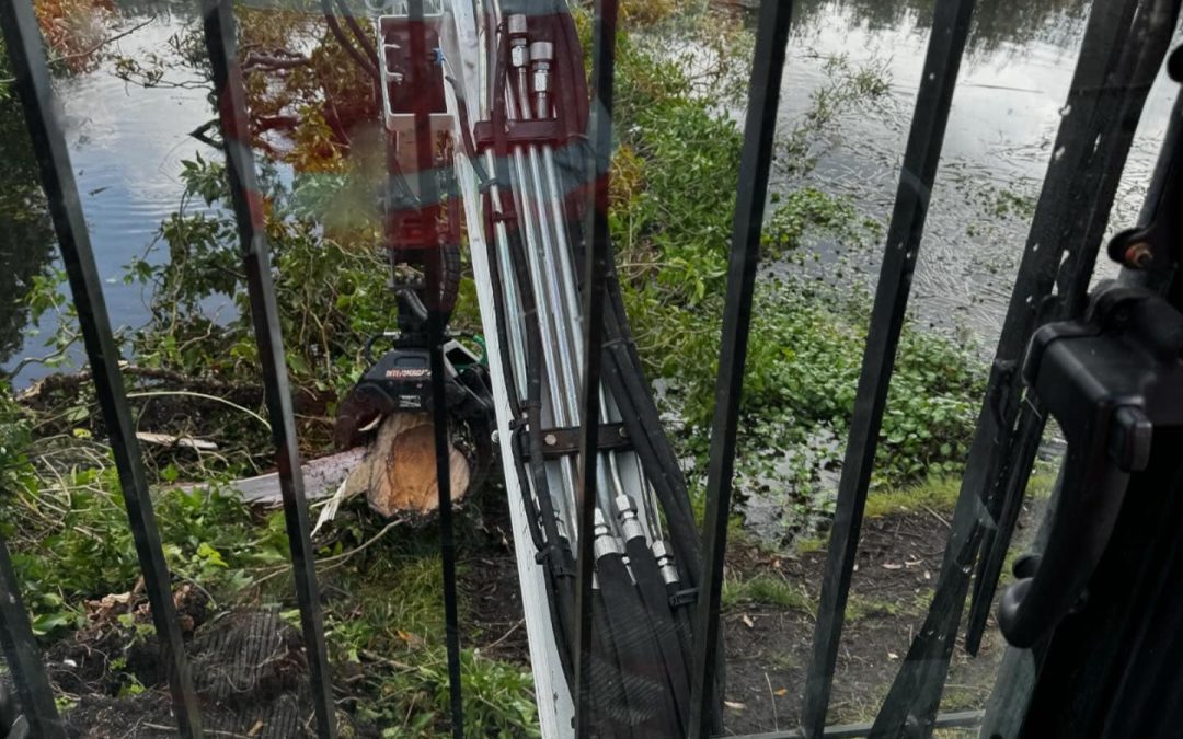 Blackpool Tree Surgeon