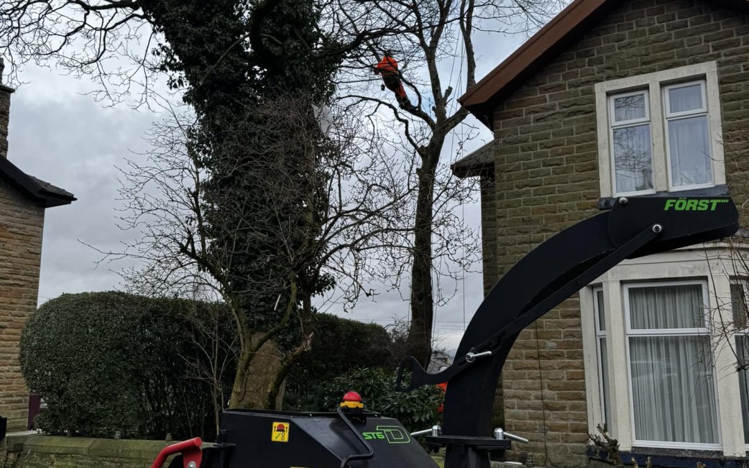Rossendale Tree Surgeon