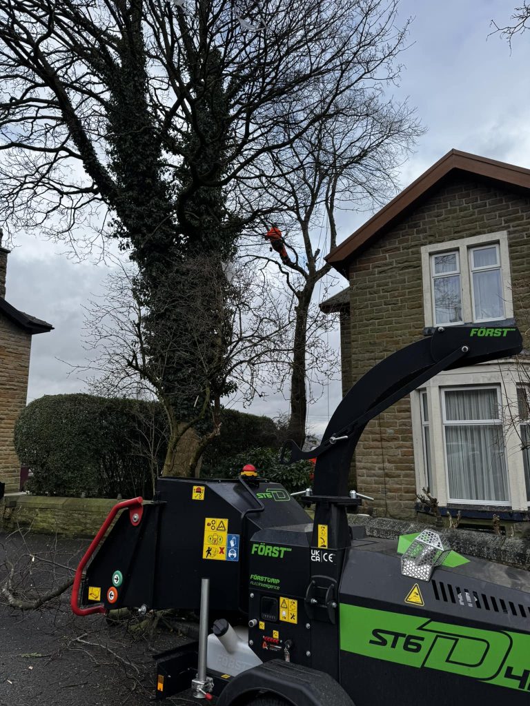 Rossendale Tree Surgeon