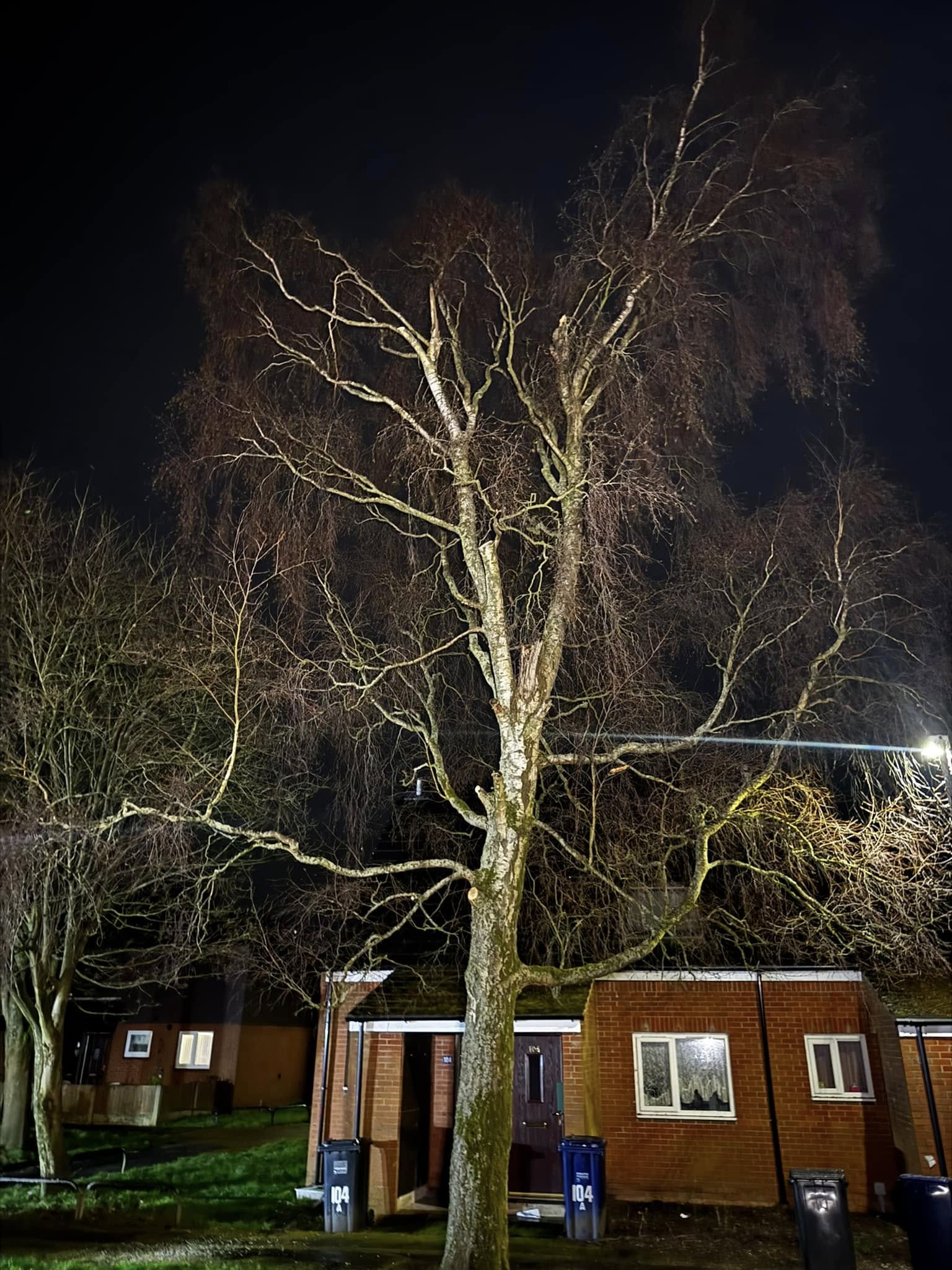 Tree Service North West